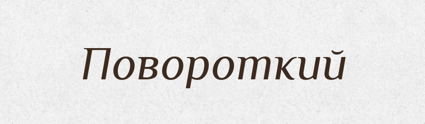 Повороткий — Тлумачний словник української мови