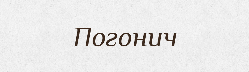 Погонич — Тлумачний словник української мови