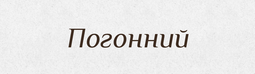 Погонний — Тлумачний словник української мови