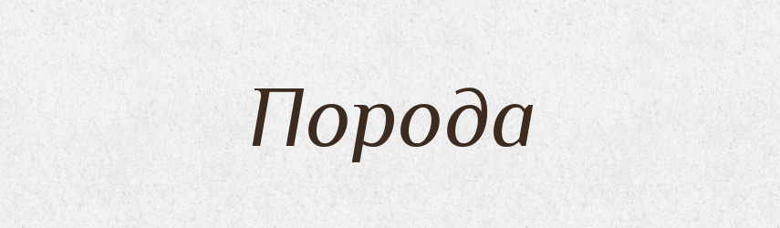 Порода — Тлумачний словник української мови