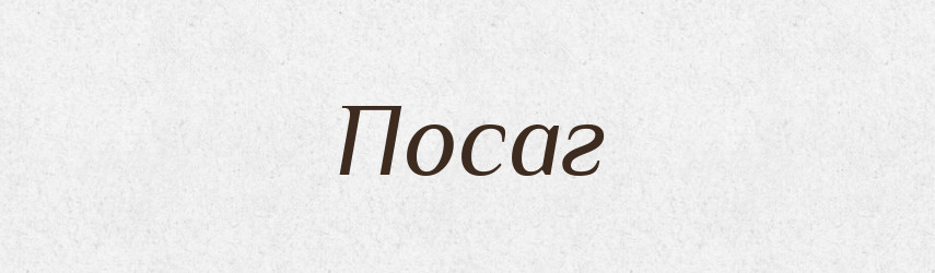 Посаг — Тлумачний словник української мови