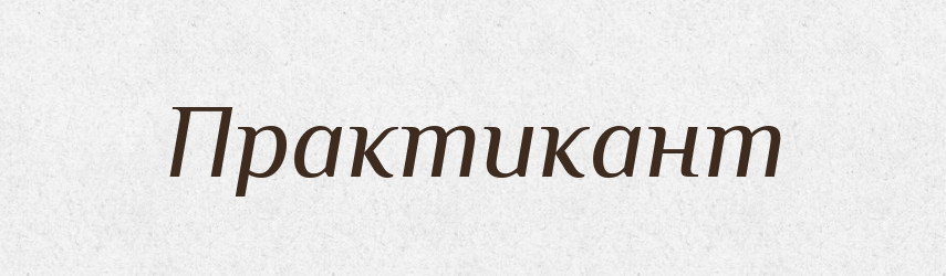 Практикант — Тлумачний словник української мови