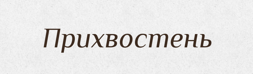 Прихвостень — Тлумачний словник української мови