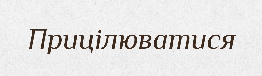 Прицілюватися — Тлумачний словник української мови