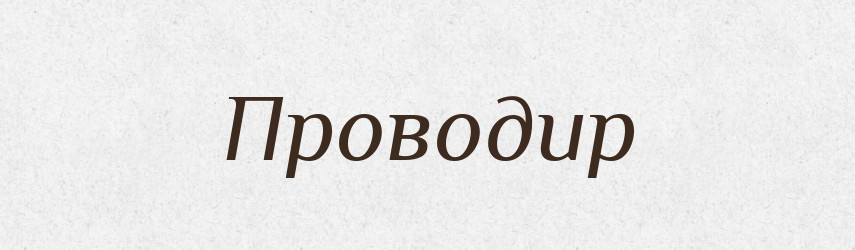 Проводир — Тлумачний словник української мови