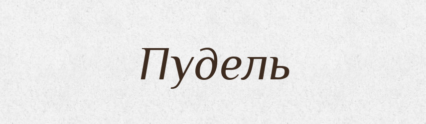 Пудель — Тлумачний словник української мови