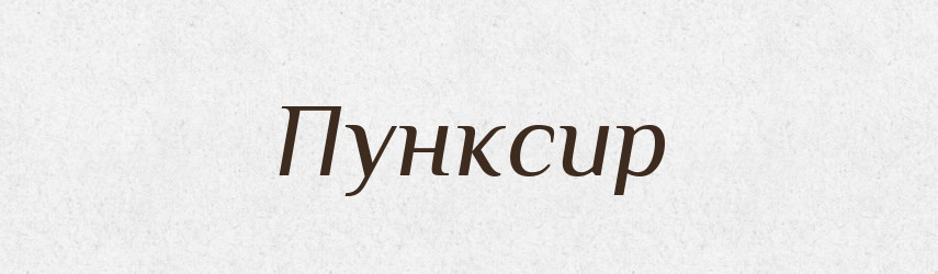 Пунксир — Тлумачний словник української мови