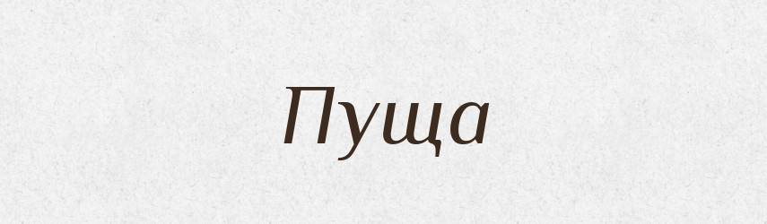 Пуща — Тлумачний словник української мови