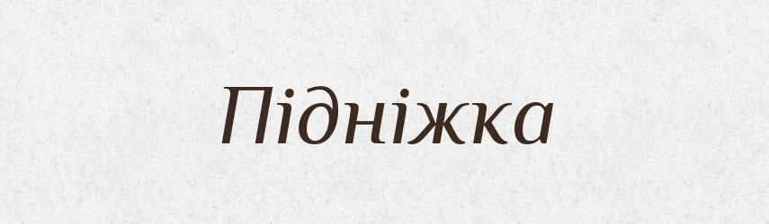Підніжка — Тлумачний словник української мови