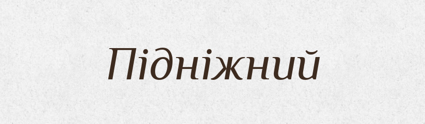 Підніжний — Тлумачний словник української мови