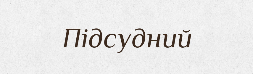 Підсудний — Тлумачний словник української мови