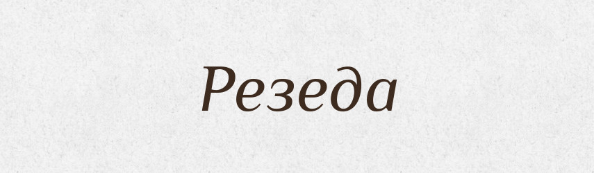 Резеда — Тлумачний словник української мови
