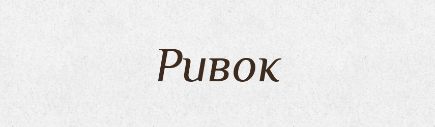 Ривок — Тлумачний словник української мови