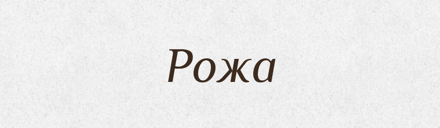 Рожа — Тлумачний словник української мови