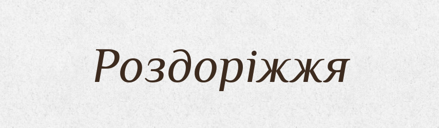 Роздоріжжя — Тлумачний словник української мови