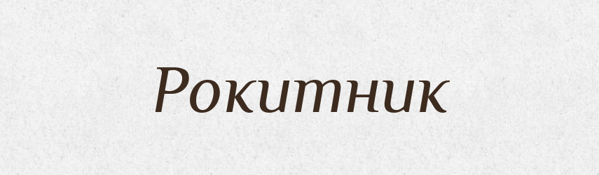 Рокитник — Тлумачний словник української мови