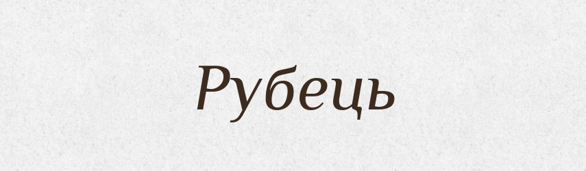 Рубець — Тлумачний словник української мови