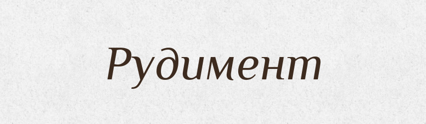 Рудимент — Тлумачний словник української мови