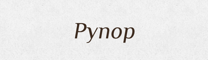 Рупор — Тлумачний словник української мови
