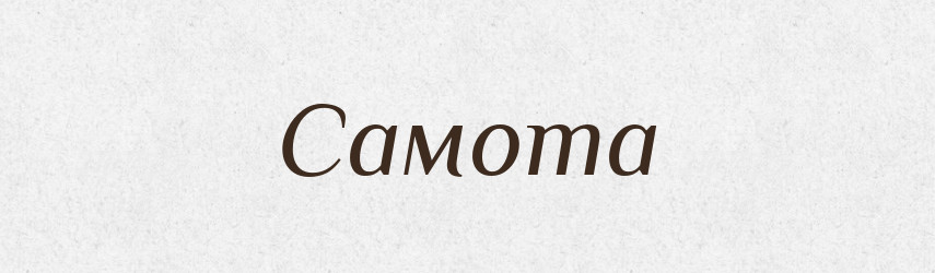 Самота — Тлумачний словник української мови