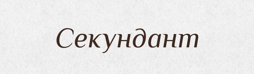 Секундант — Тлумачний словник української мови