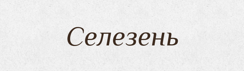 Селезень — Тлумачний словник української мови