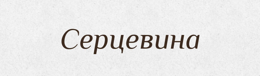 Серцевина — Тлумачний словник української мови