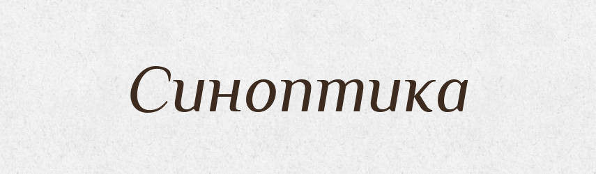 Синоптика — Тлумачний словник української мови