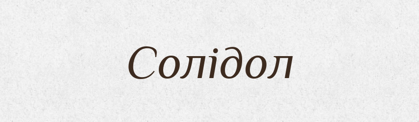 Солідол — Тлумачний словник української мови