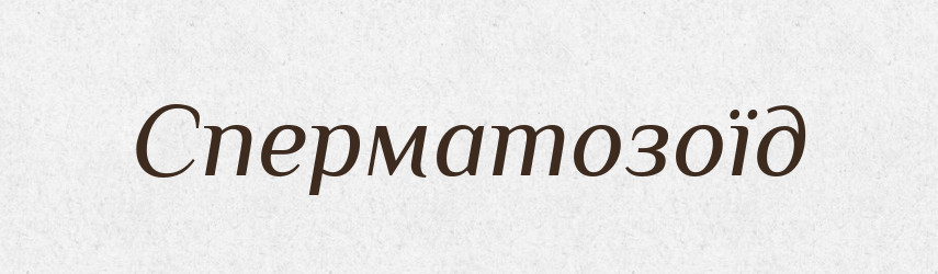 Сперматозоїд — Тлумачний словник української мови