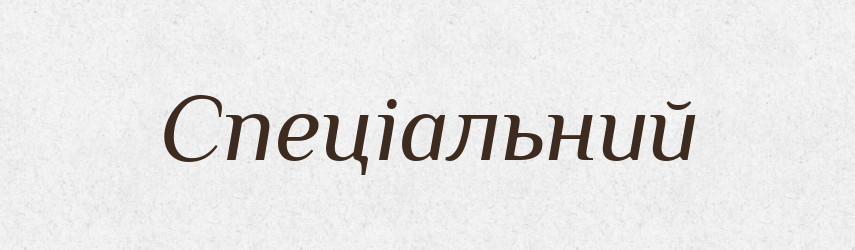 Спеціальний — Тлумачний словник української мови