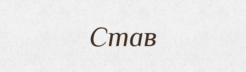 Став — Тлумачний словник української мови