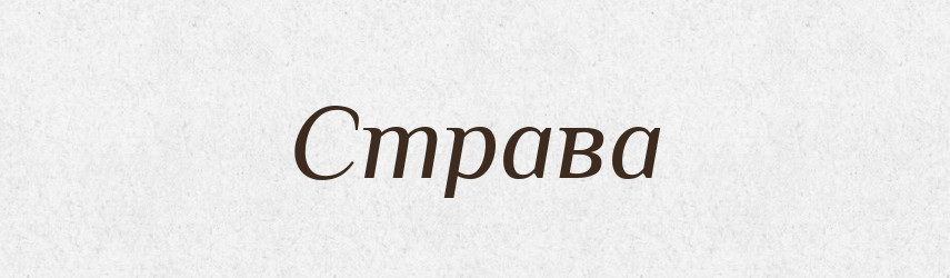 Страва — Тлумачний словник української мови