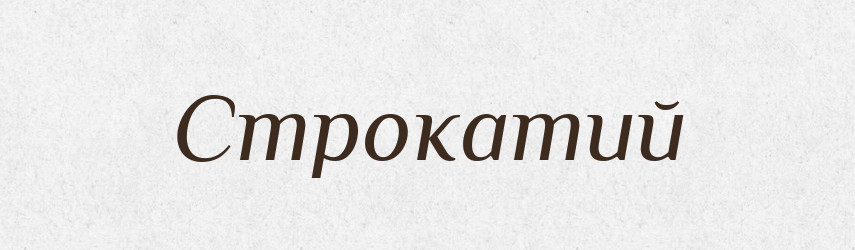 Строкатий — Тлумачний словник української мови