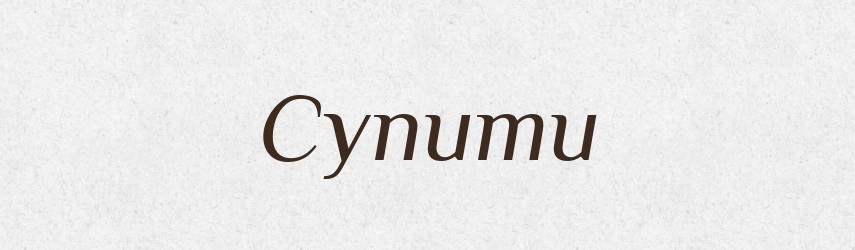 Супити — Тлумачний словник української мови