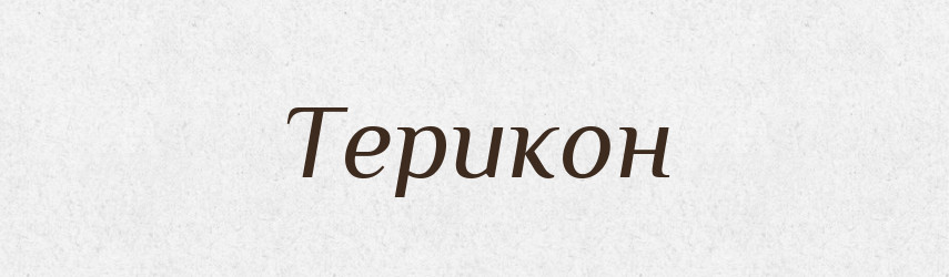 Терикон — Тлумачний словник української мови