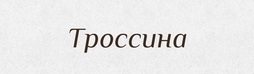 Троссина — Тлумачний словник української мови