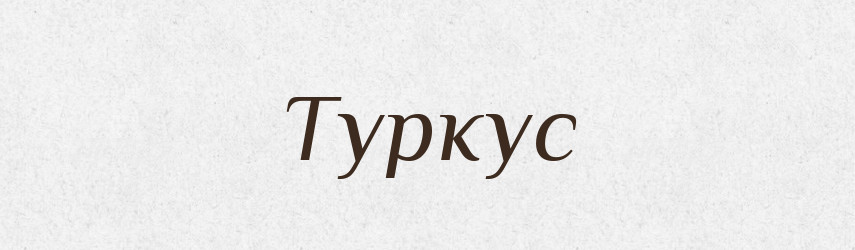Туркус — Тлумачний словник української мови
