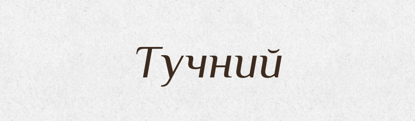 Тучний — Тлумачний словник української мови