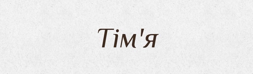 Тім'я — Тлумачний словник української мови