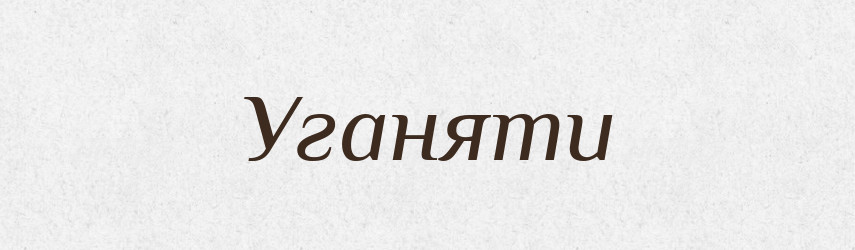 Уганяти — Тлумачний словник української мови