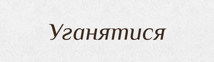Уганятися — Тлумачний словник української мови