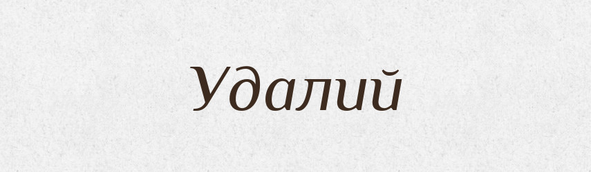 Удалий — Тлумачний словник української мови