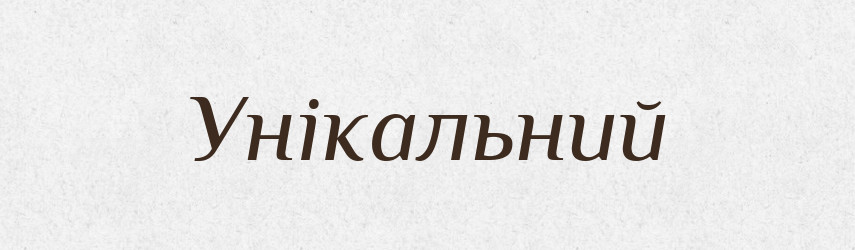 Унікальний — Тлумачний словник української мови