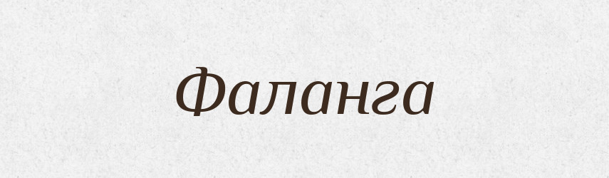 Фаланга — Тлумачний словник української мови