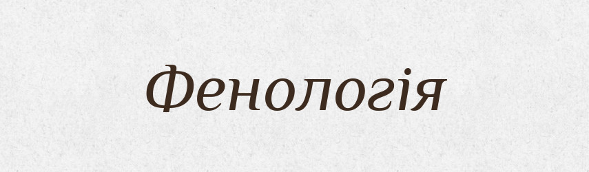 Фенологія — Тлумачний словник української мови