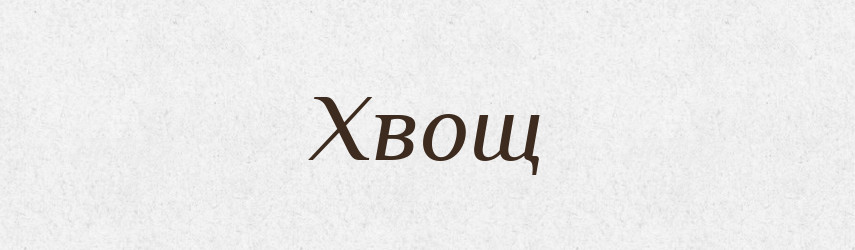 Хвощ — Тлумачний словник української мови