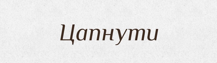 Цапнути — Тлумачний словник української мови