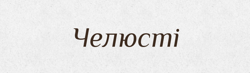 Челюсті — Тлумачний словник української мови