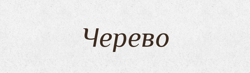 Черево — Тлумачний словник української мови